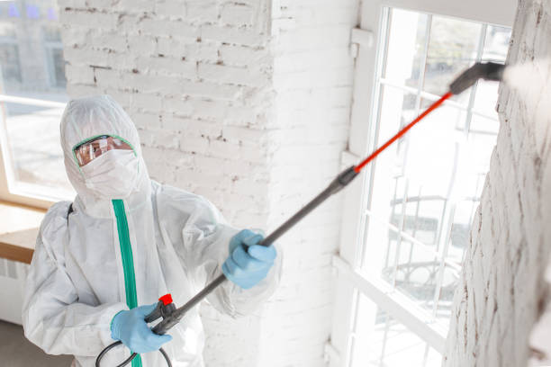 Asbestos and Lead Testing During Mold Inspection in Fair Grove, MO