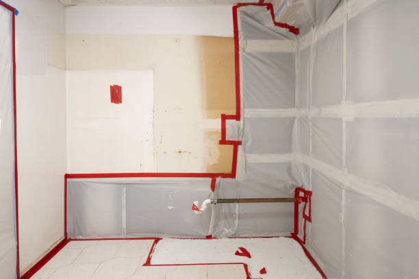 Best Black Mold Removal  in Fair Grove, MO